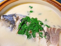 千岛湖鱼头-千岛湖小鱼儿·淳安匠心农家菜