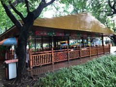 -晓港公园