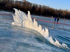 -长春市南湖公园