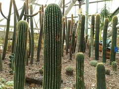 -南山植物园