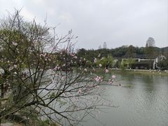 -常德桃花源景区