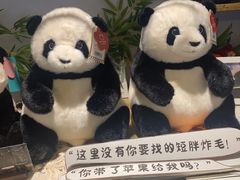 -轩客会(熊猫书店)