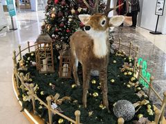店内环境-兰岛广场(白沙路店)