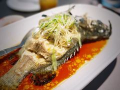 清蒸老虎斑-徐记海鲜(曲江南湖店)