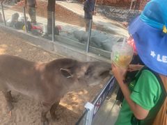 -西霞口神雕山野生动物世界