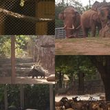 广州·越秀｜广州动物园🦍门票20元🦍