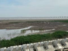 -南汇新城海滩
