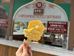 -西双版纳傣族园