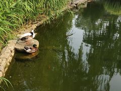 -三里河公园