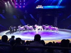 -珠海横琴长隆《卡卡虎奇遇记》