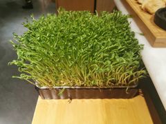 -煲宫猪肚鸡(晶品店)