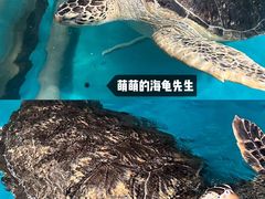-正佳极地海洋世界