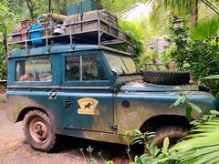 -奥兰多迪士尼动物王国乐园