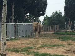 -辛玛王国游乐园