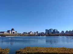 -莲花池公园
