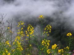 -石潭村