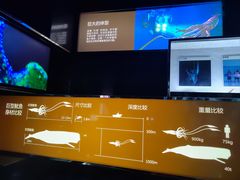 -同济大学四平路校区深海探索馆