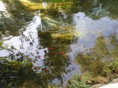-水磨沟公园