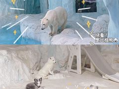 -珠海长隆海洋王国