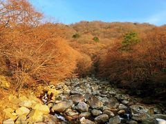 -光雾山旅游景区