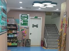 -天使宠物医院·犬猫分诊(彩虹店)
