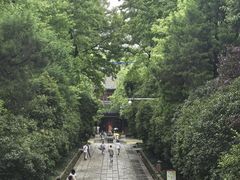 -灵谷景区