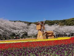 -苏州上方山国家森林公园