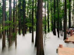-东湖落雁景区