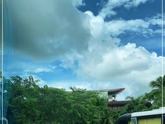 -呀诺达热带雨林