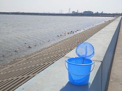 -碧海金沙