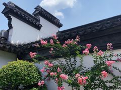 -檀园