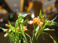 -半秋山西餐厅(宜昌大洋店)