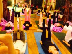 静禅瑜伽·舞蹈培训(二七路店)-JC·YOGA静禅瑜伽普拉提