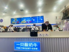 -一只酸奶牛(兰州中心店)