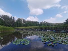 -溱湖国家湿地公园