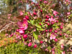 -元大都城垣遗址公园