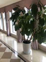 点击看大图 -昆明梦想医疗美容医院