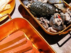 -Darling Queen·Mini·Live·House