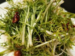 凉拌苦菊-馋嘴蛙火锅