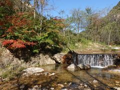 -大连天门山国家森林公园