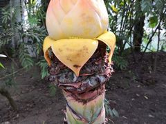 -南通洲际绿博园