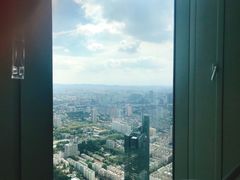 -紫峰大厦