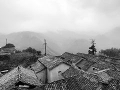 -杨家堂村