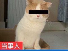 -老金家蛋菜夹馍(西安总店)