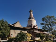 -张掖大佛寺景区
