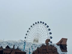 -秦皇岛乐岛海洋王国