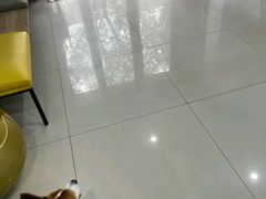 -思琪宠物医院(昆山花桥店)