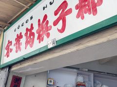 -洪馨椰子