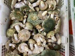 -双喜农庄·菌香园(安居家园店)