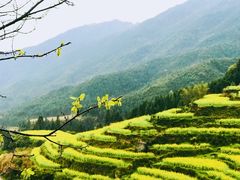 -7号汤泉国际水汇